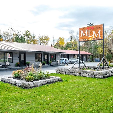 Moira Lake Motel Madoc Exterior photo